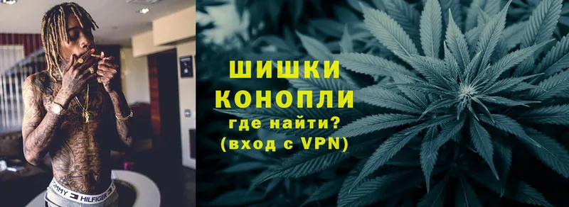 как найти   Любань  Бошки марихуана White Widow 